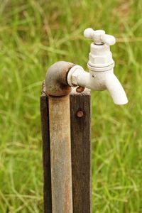 Close-up of wooden post on pole in field