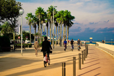 People cycling by trees against sky