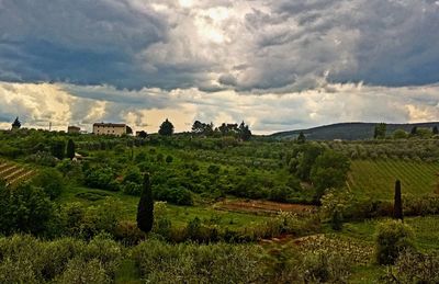 Scenic view of grassy field against cloudy sky