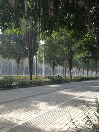 Trees in city against sky