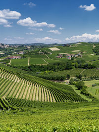 Scenic view of agricultural field against sky