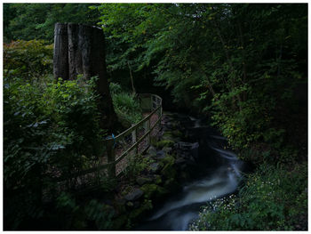 Footbridge over stream in forest
