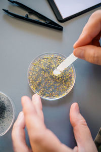 Female chemist hands taking sample of microplastics from golden glitter on petri dish in laboratory
