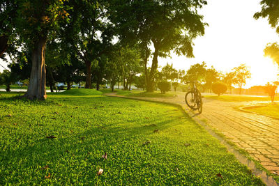 Bicycle parked on footpath at park