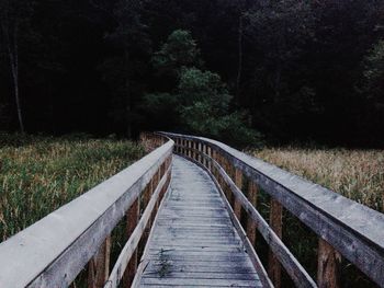 Narrow walkway along trees