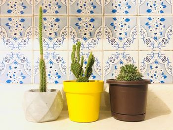 Close-up of potted plants on table