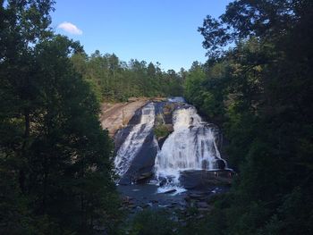 Scenic view of waterfall in forest against sky