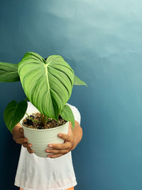 Midsection of woman holding plant against wall