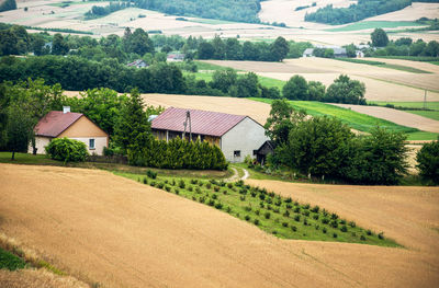The farm is situated among hills with arable fields. agricultural landscape. roztocze, poland