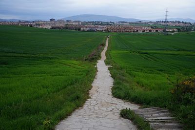 Scenic view of agricultural field against sky in city