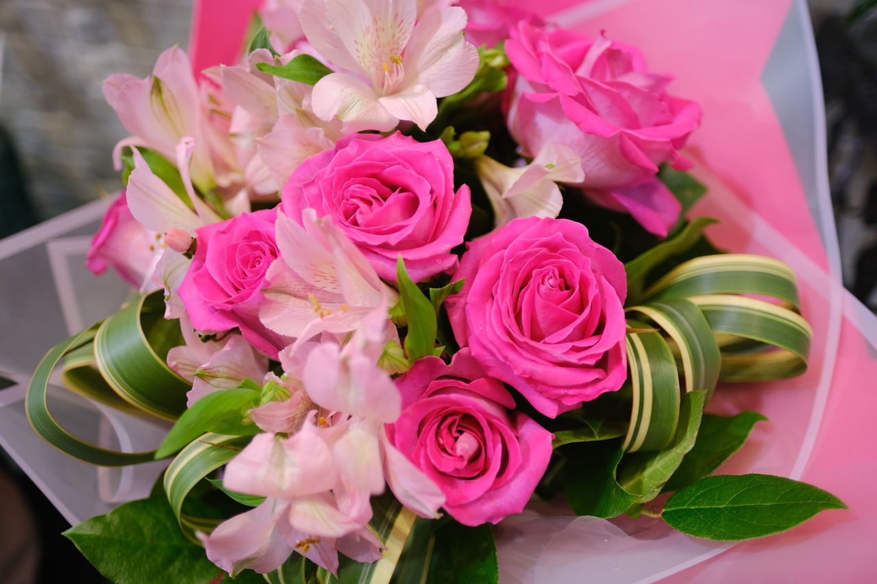 CLOSE-UP OF PINK ROSE BOUQUET