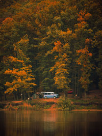 Scenic view of lake in forest