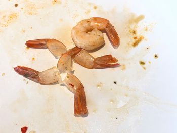 High angle view of crab in plate