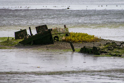 Scenic view of sea