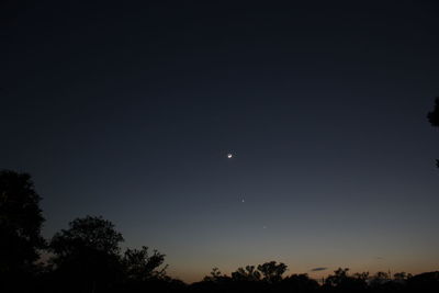 Low angle view of silhouette trees against clear sky at night