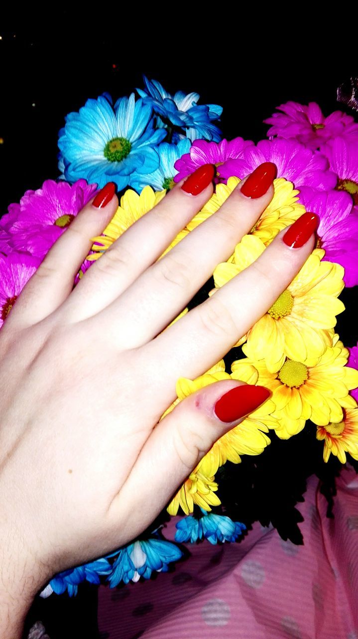 human hand, human body part, beauty, lifestyles, multi colored, nail polish, black background, flower, one person, close-up, fingernail, women, adult, leisure activity, adults only, only women, people, one woman only, beauty in nature, outdoors, nature, flower head, day