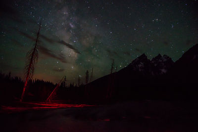 Low angle view of landscape against star field