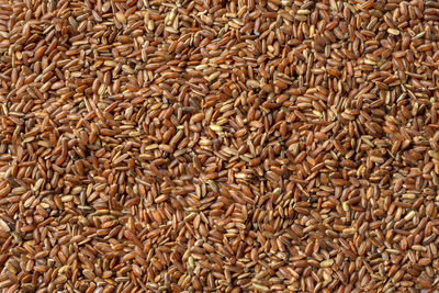 Brown rice close-up texture. whole grain,  red rice background