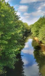 Reflection of trees in lake