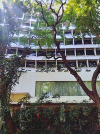 Low angle view of trees and building