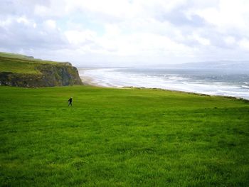 Man standing on grassy field by sea against cloudy sky