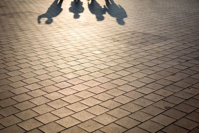 Shadow of people on road