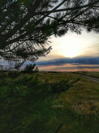 Scenic view of field against sky during sunset