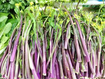 High angle view of vegetables in market