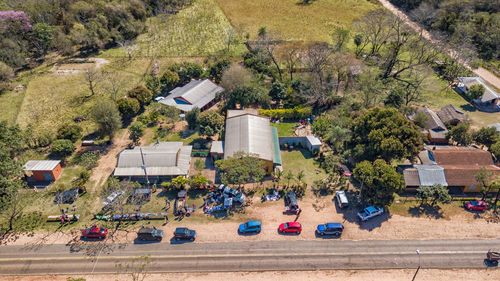 High angle view of vehicles on road along trees