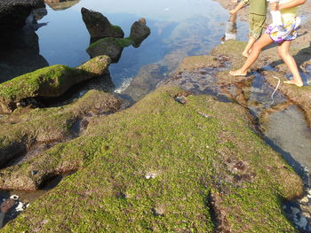 Low section of people on rock against sky