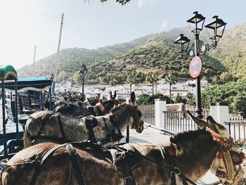 Panoramic view of people on street against sky