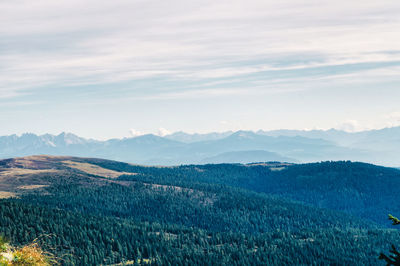 Scenic view of landscape against sky