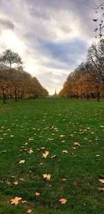 Scenic view of field against sky during autumn