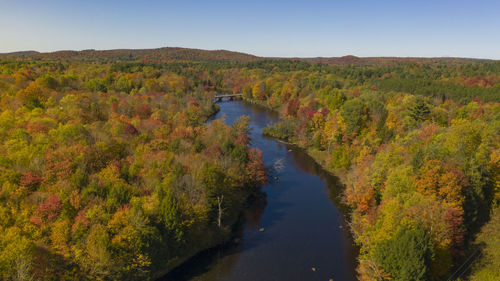 Scenic view of river amidst trees against sky