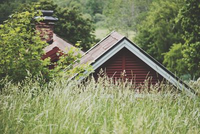 House amidst plants and trees on field