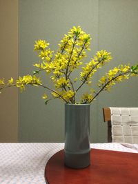 Close-up of potted plant