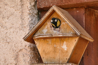 Close-up of bird perching on birdhouse