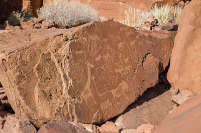 Close-up of famous twyfelfontein rock painting and scratching in damaraland, namibia, africa