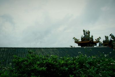 Plants on field against cloudy sky