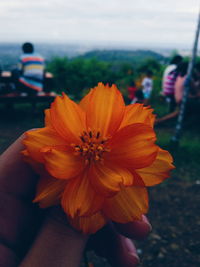 Close-up of orange flower against sky