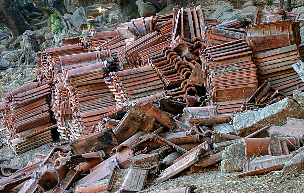 HIGH ANGLE VIEW OF LOGS