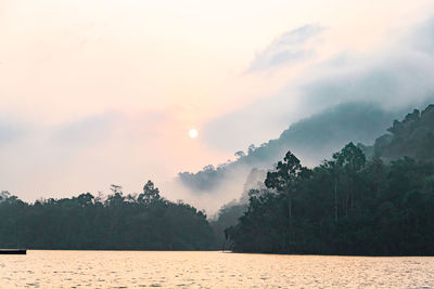 Beautiful scenery of the river the forest at sunset