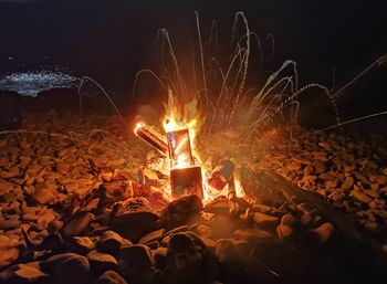 Firework display at night