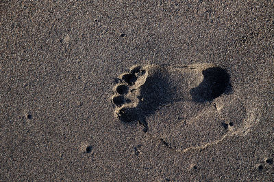 Footprints on sand