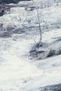 Scenic view of snow covered land