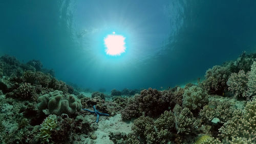 sea