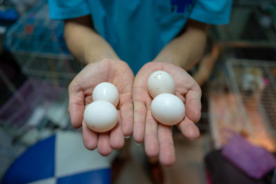 Midsection of man holding eggs