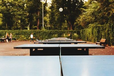 Trees in park