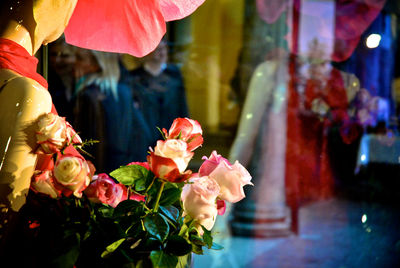 Close-up of pink flowers