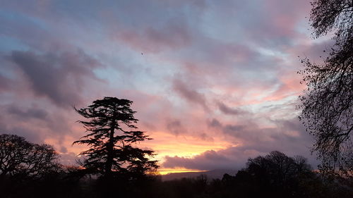 Low angle view of silhouette trees against sky at sunset